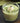 Matcha Panna Cotta
